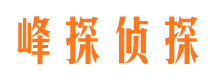 临安婚外情调查取证